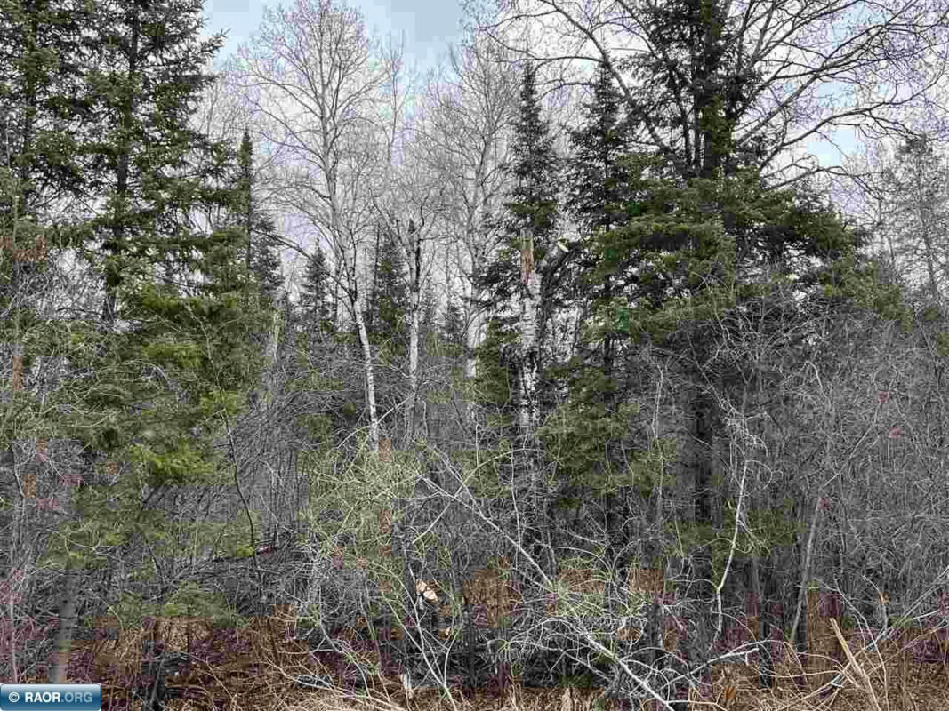 TBD BUTLER RD, MT IRON, MN 55751, photo 1 of 5
