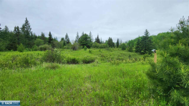 TBD TOWN ROAD, RAUCH, MN 55771 - Image 1