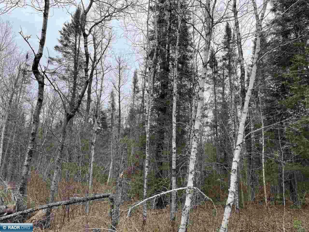 XXXX DEER FOREST RD, AURORA, MN 55705, photo 1 of 14
