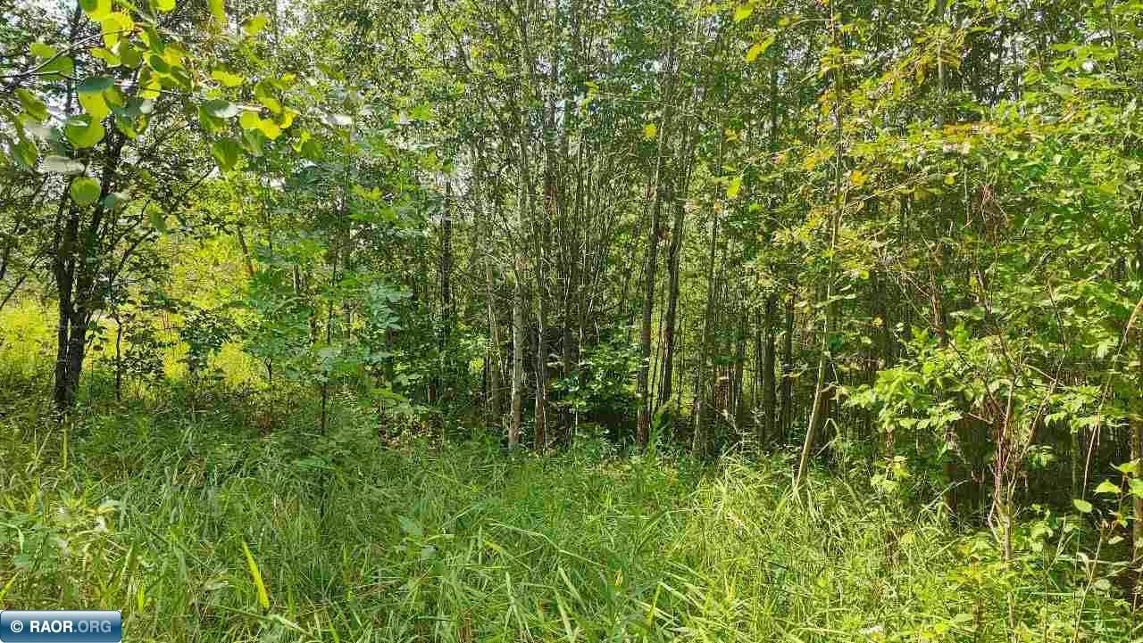 TBD LAKE STREET, ORR, MN 55771, photo 1 of 8