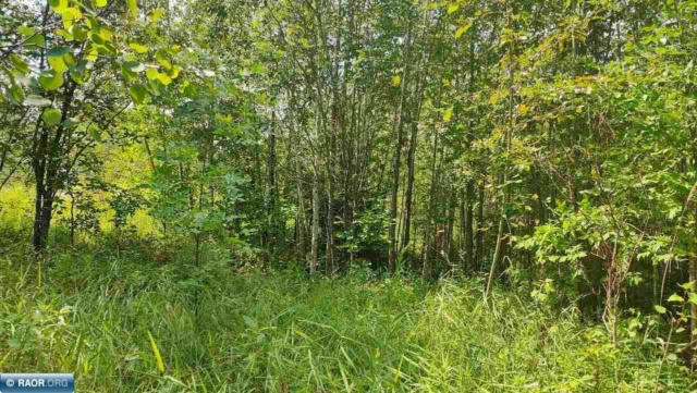 TBD LAKE STREET, ORR, MN 55771 - Image 1