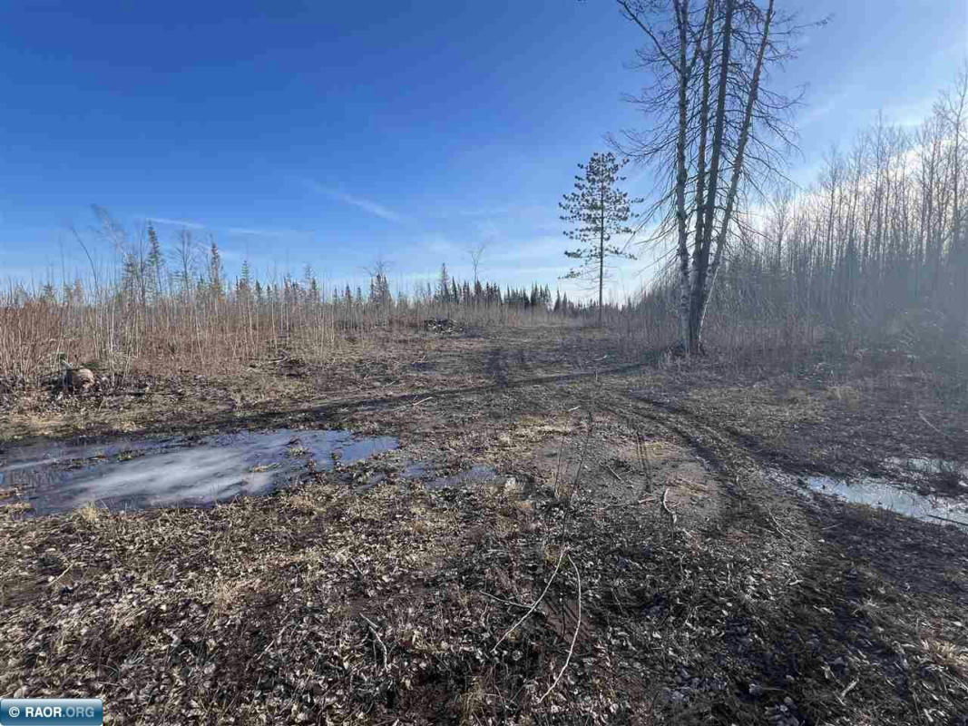 TBD CENTRAL LAKES RD, EVELETH, MN 55734, photo 1 of 9