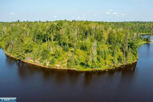 TBD PIKE RIVER FLOWAGE, TOWER, MN 55790 - Image 1