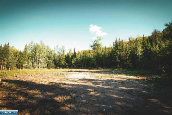 TBD APEX DRIVE PARCEL C, COOK, MN 55723 - Image 1