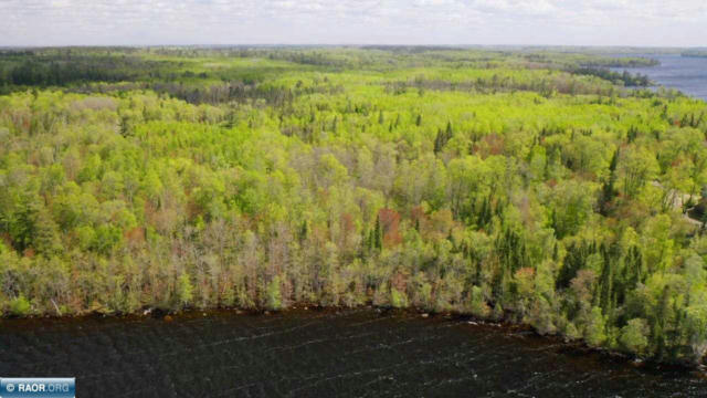 PARCEL A S NILES BAY FOREST ROAD, ORR, MN 55771, photo 3 of 10