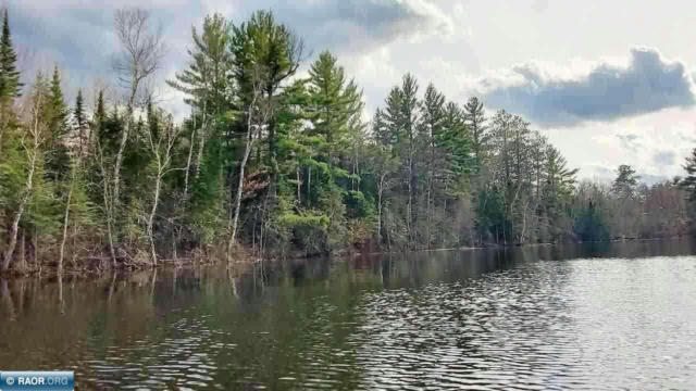 LOT D HINSDALE ISLAND, COOK, MN 55723, photo 5 of 12